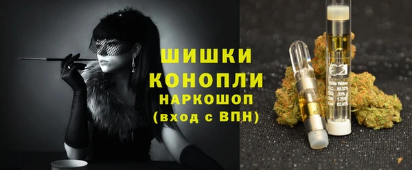 мдпв Вязьма