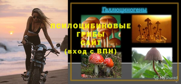 шишки Волоколамск