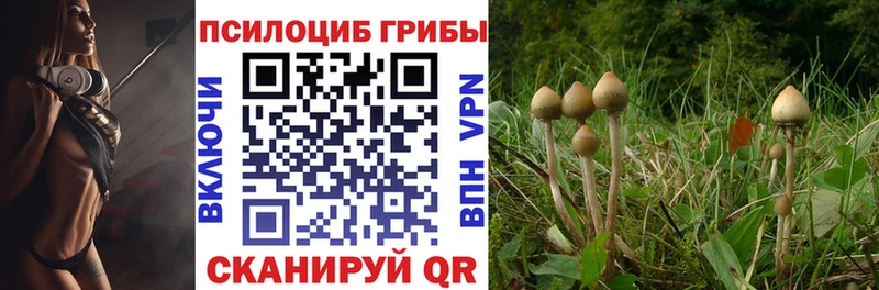 Псилоцибиновые грибы Psilocybine cubensis Лянтор